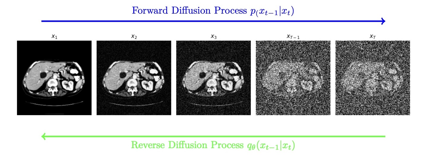 PET Attenuation